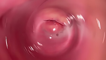 Pov Masturbace S Hnědým Penisem V Těsné Vagíně